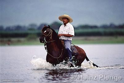 Jinete en Lambayeque