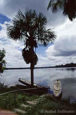 Lago Sandoval, Manu