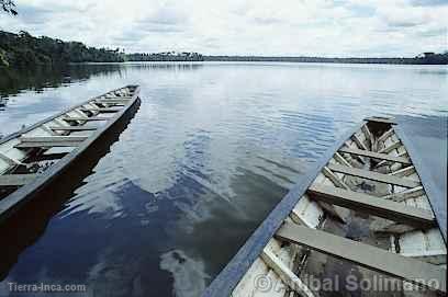 Lago Sandoval, Manu