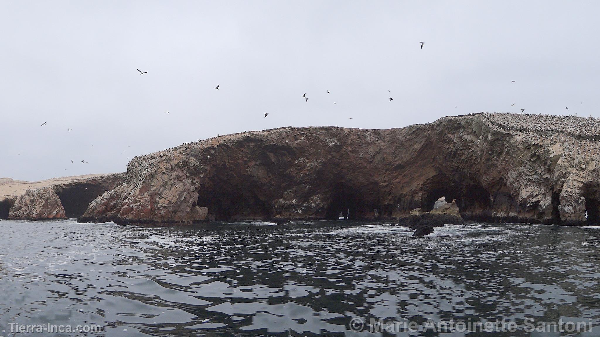 Islas Ballestas, Paracas