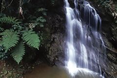 Cataratas en Moyobamba