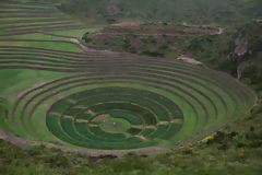 Conjunto Arqueolgico de Moray