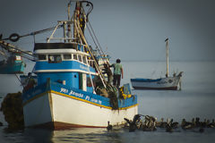 Embarcaciones de pesca