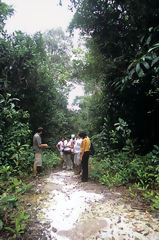 Reserva Nacional Allpahuayo Mishana