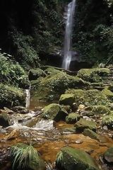 Catarata de Ahuashiyacu