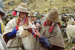 Campesinos marcando llamas, Comunidad Q'eros