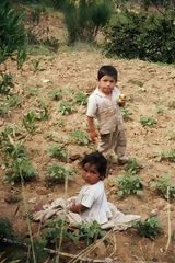 Campo de agricultura ecolgica, Hunuco