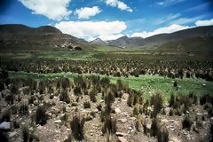 Paisaje de páramo. Huancavelica