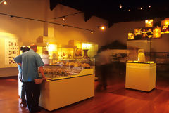 Sala de exhibicion de museo