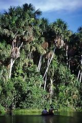 Tambopata - Candamo. Puno - Madre de Dios