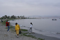 Baha de Paracas