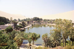 Laguna de Huacachina