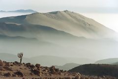 Reserva Nacional de Pampa Galeras, Ayacucho