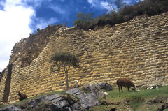 Fortaleza de Kuelap, Kulap