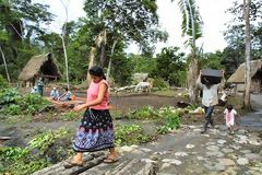 Comunidad de Paraiso, distrito de Picota