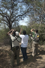 Bosque de Pmac