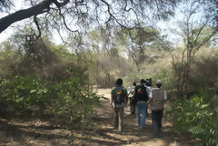 Bosque de Pmac