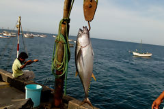 Pesca artesanal en la playa Los rganos