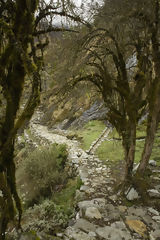 Trekking a Choquequirao