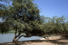 Parque Nacional Cerros de Amotape