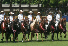 Presentacin de caballos de paso