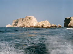 Islas Ballestas, Paracas