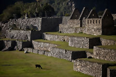 Ciudadela de Machu Picchu