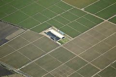 Campos de cultivo en Nasca, Nazca