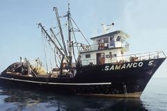 Bolichera frente al puerto de Chimbote