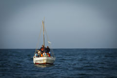 Avistamiento de ballenas