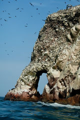 Islas Ballestas, Paracas