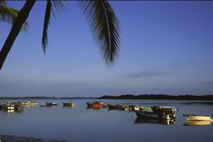 Caleta de Puerto Pizarro