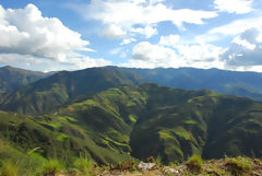 Paisaje de selva alta