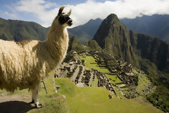 Ciudadela de Machu Picchu