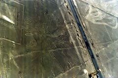 El Arbol, Nazca