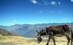 Cordillera Blanca