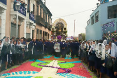 Procesin del Seor de Los Milagros