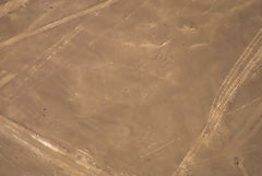 Lneas de Nazca