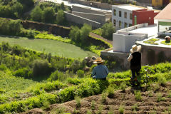 Campia de Arequipa