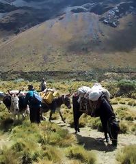 Cordillera Blanca