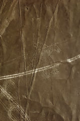 Lneas de Nazca