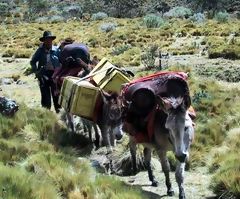 Cordillera Blanca