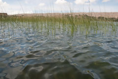 Lago Titicaca