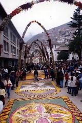 Alfombra de flores, Tarma