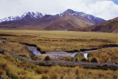 Tren entre Puno y Cuzco