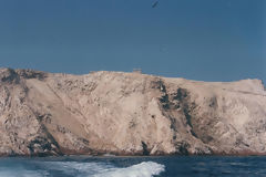 Islas Ballestas, Paracas