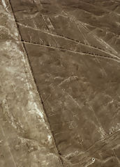 Lneas de Nazca