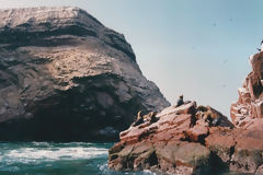 Islas Ballestas, Paracas