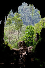 Cueva de Las Lechuzas, Tingo Mara