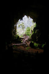 Cueva de Las Lechuzas, Tingo Mara